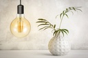 LED E27 Filament Globe, L279535005