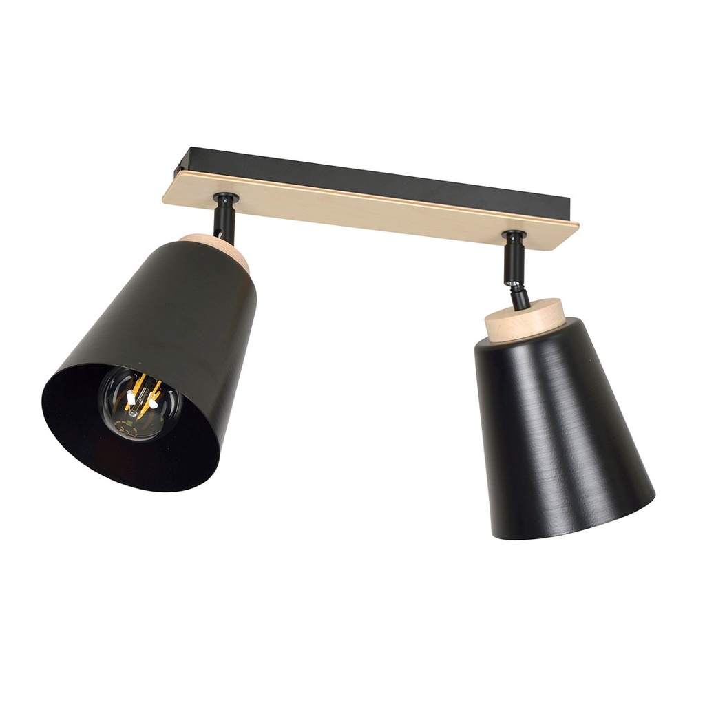 Atlas 2 Black ceiling lamp