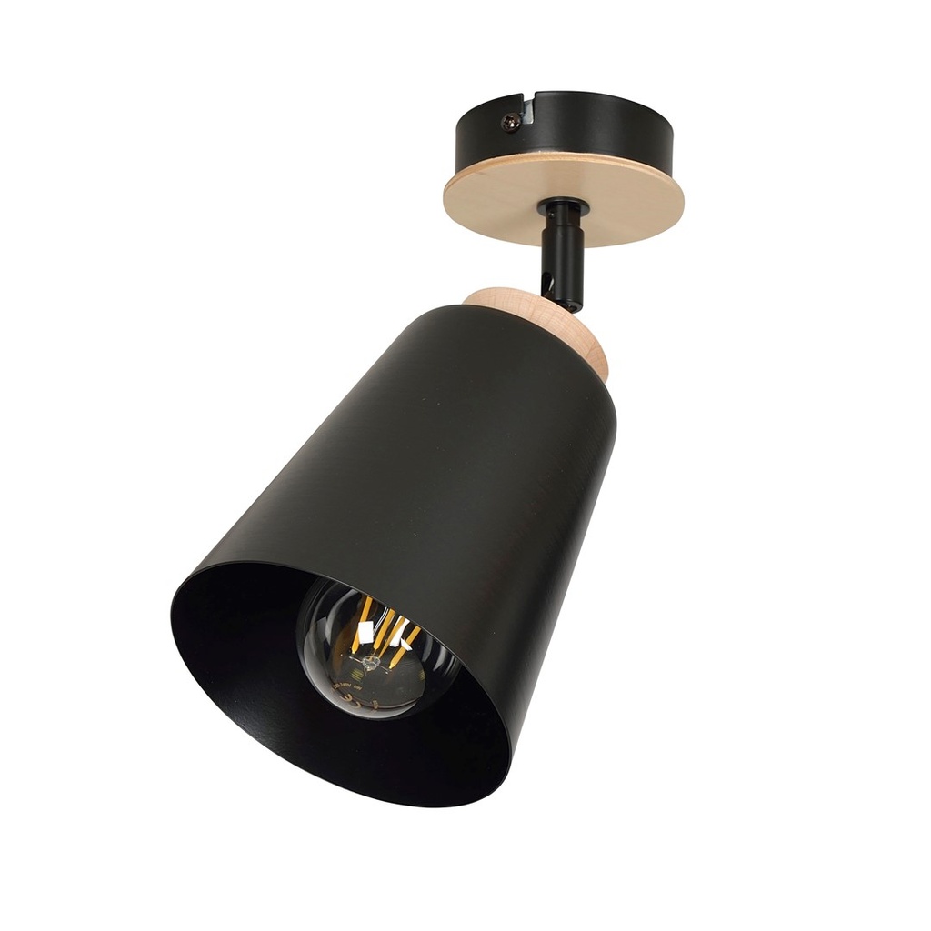 Atlas 1 Black ceiling lamp